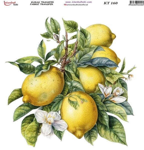 Kumaş Transfer Kağıdı 20x20cm KT-160