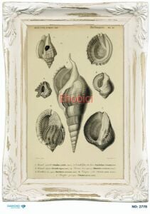 Diamond Pirinç Dekopaj Kağıdı - 2778