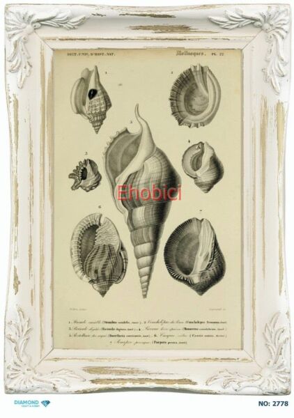 Diamond Pirinç Dekopaj Kağıdı - 2778