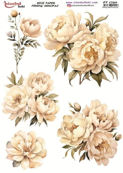 Pirinç Dekopaj Kağıdı 30x42cm PT-1790