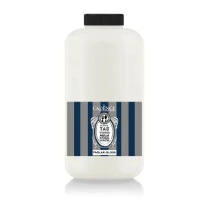 Cadence Taş Vernik Parlak 2 LT Aqua Stone Varnish