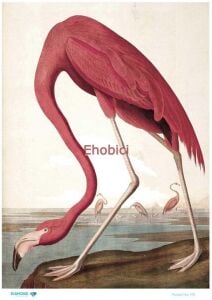 Diamond Pirinç Dekopaj Kağıdı - 195