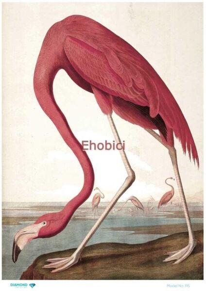 Diamond Pirinç Dekopaj Kağıdı - 195