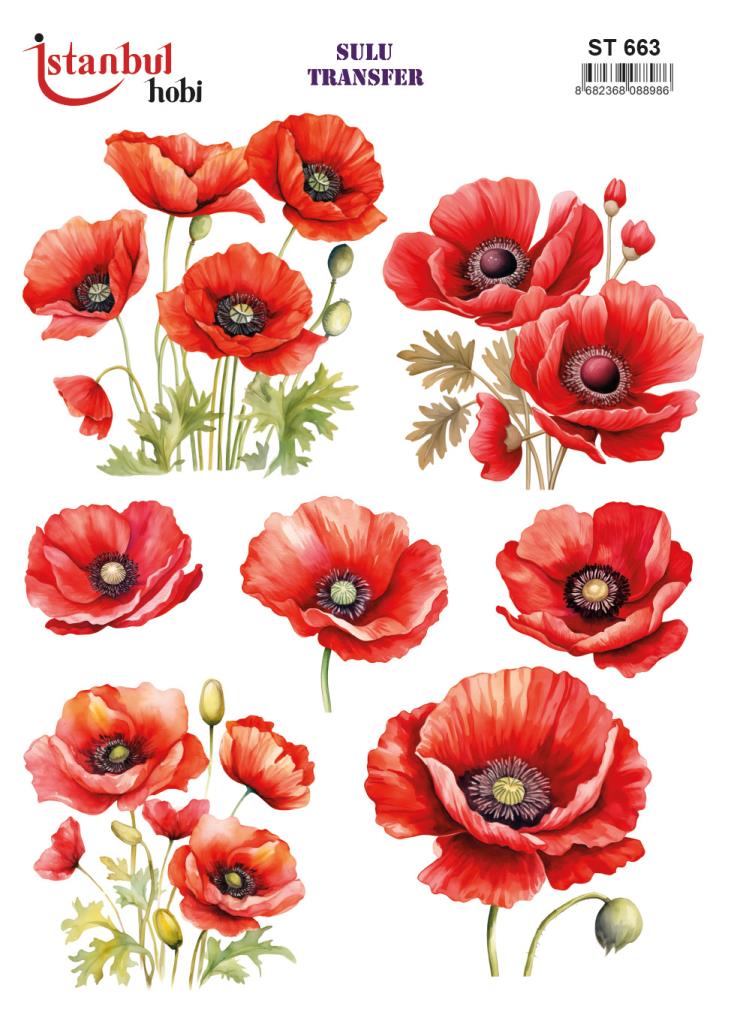 Sulu Transfer Kağıdı 25x35cm ST-663