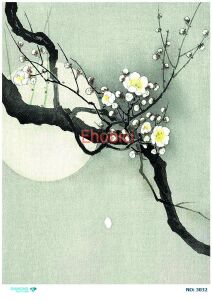 Diamond Pirinç Dekopaj Kağıdı - 3032