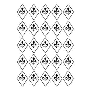 Cadence 25x35 BN Serisisi Stencil BN-22