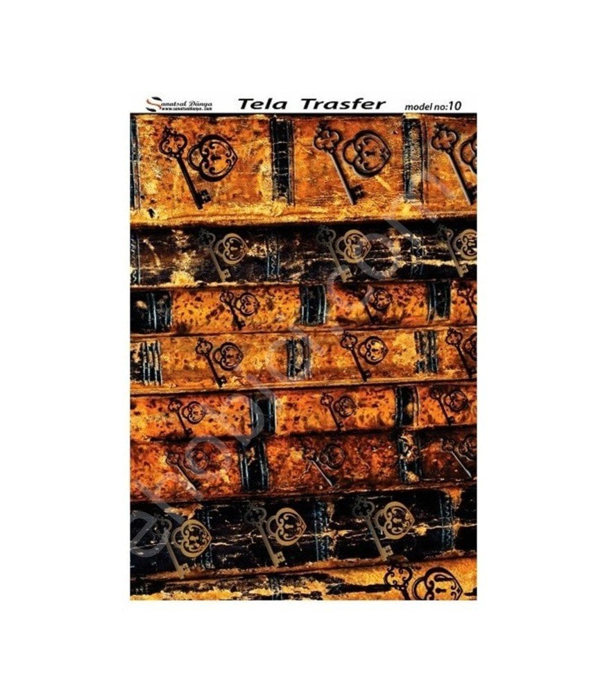 Model 10 - Tela Transfer