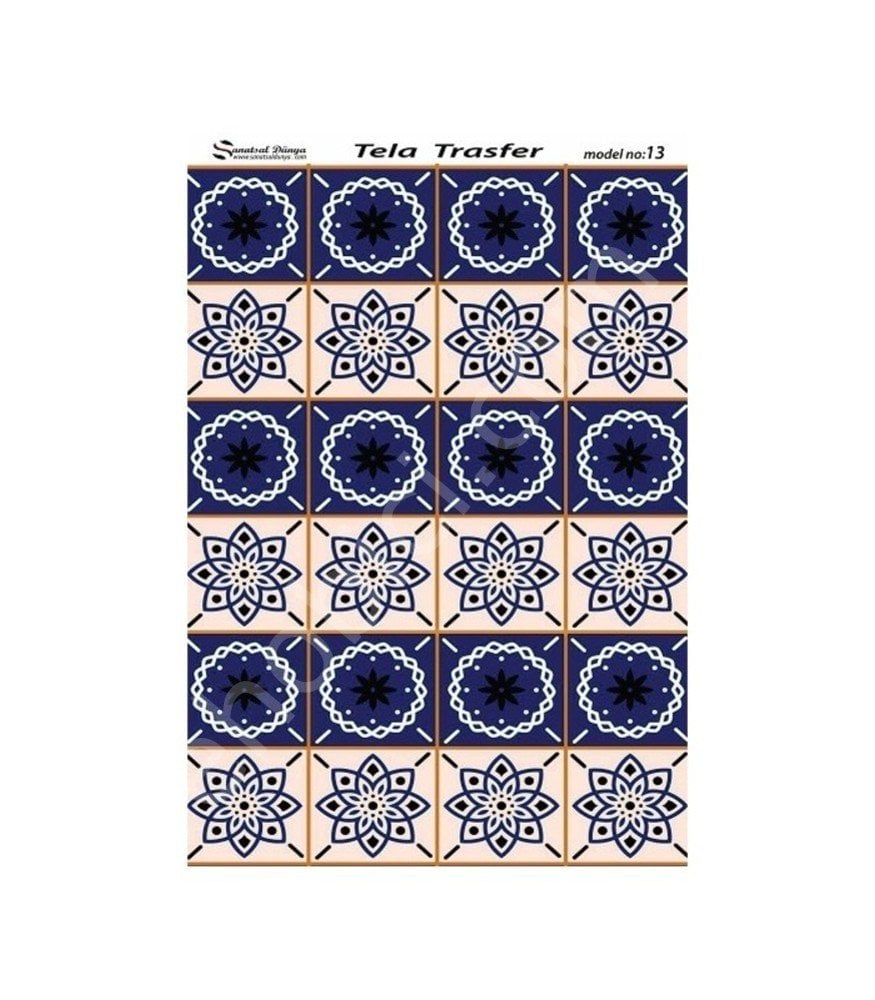 Model 13 - Tela Transfer