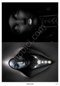 Özel Model-001 - Pirinç Dekopaj Lineart Craft