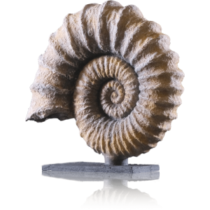 Cadence Zeugma Taş Efekt ZE102 Satyros 150ml