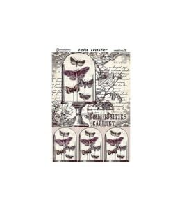 Model 28 - Tela Transfer