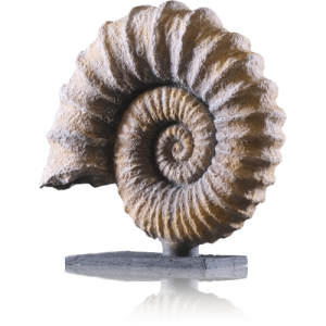 Cadence Zeugma Taş Efekt ZE108 Asia 150ml