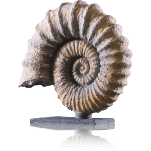 Cadence Zeugma Taş Efekt ZE110 Medos 150ml