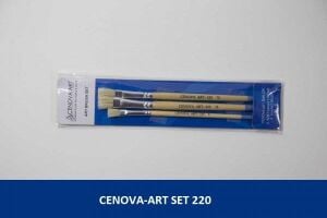 Cenova Art Set 220
