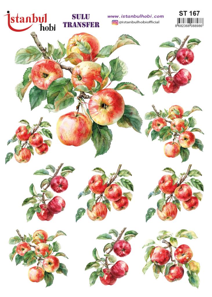 Sulu Transfer Kağıdı 25x35cm ST-167