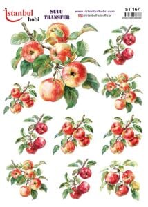 Sulu Transfer Kağıdı 25x35cm ST-167