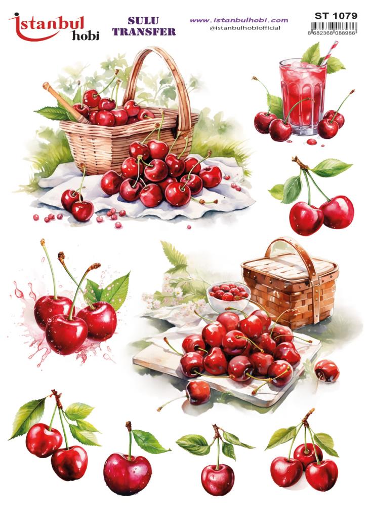 Sulu Transfer Kağıdı 25x35cm ST-1079