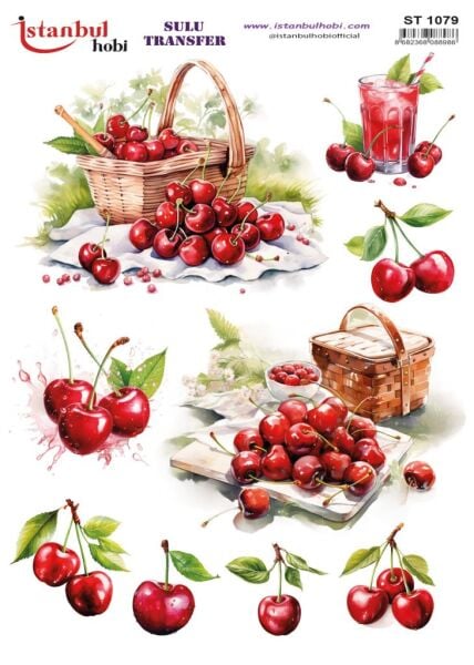 Sulu Transfer Kağıdı 25x35cm ST-1079