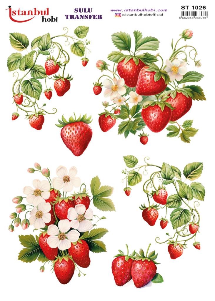 Sulu Transfer Kağıdı 25x35cm ST-1026