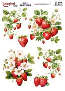 Sulu Transfer Kağıdı 25x35cm ST-1026