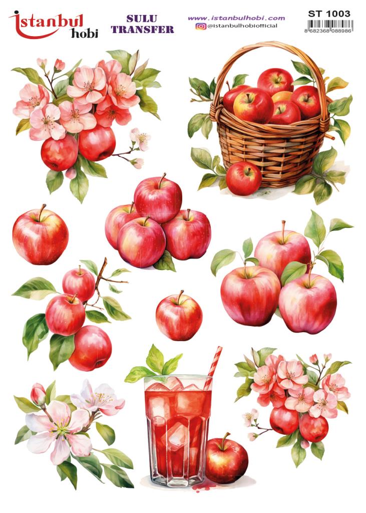 Sulu Transfer Kağıdı 25x35cm ST-1003