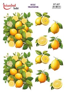 Sulu Transfer Kağıdı 25x35cm ST-427