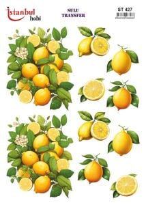 Sulu Transfer Kağıdı 25x35cm ST-427