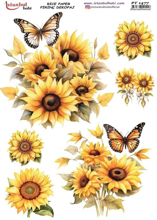 Pirinç Dekopaj Kağıdı 30x42cm PT-1477