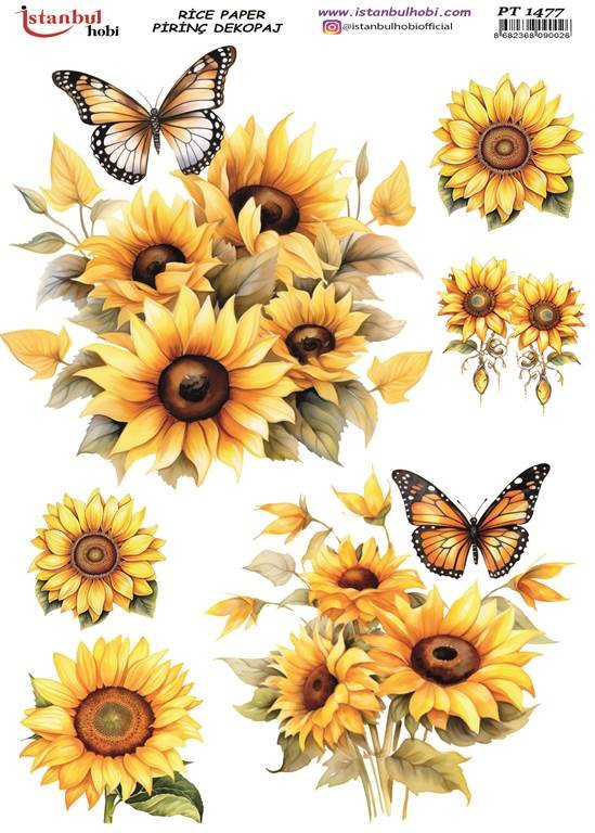 Pirinç Dekopaj Kağıdı 30x42cm PT-1477