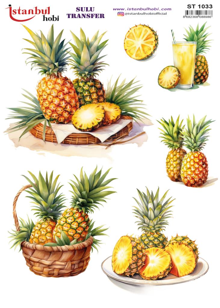 Sulu Transfer Kağıdı 25x35cm ST-1033