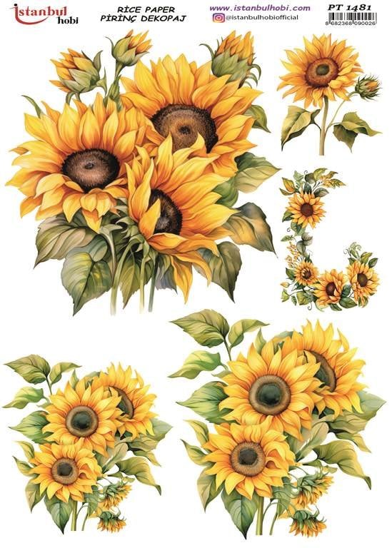 Pirinç Dekopaj Kağıdı 30x42cm PT-1481