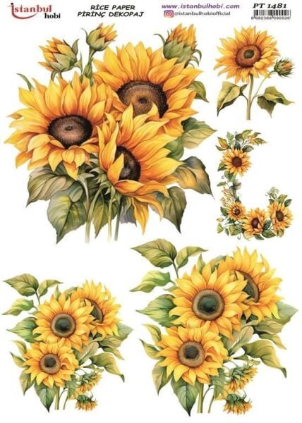 Pirinç Dekopaj Kağıdı 30x42cm PT-1481