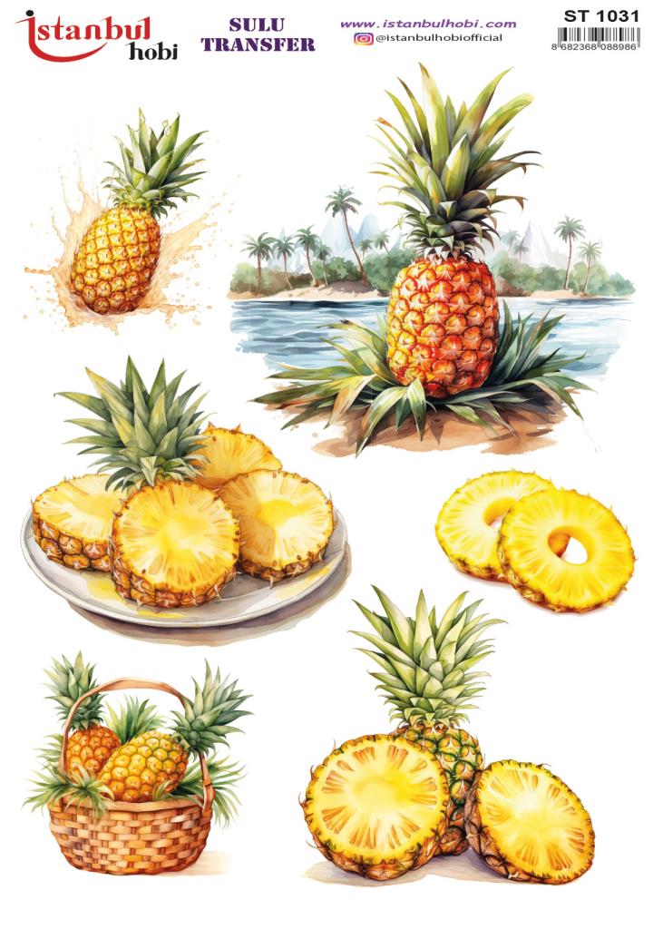 Sulu Transfer Kağıdı 25x35cm ST-1031