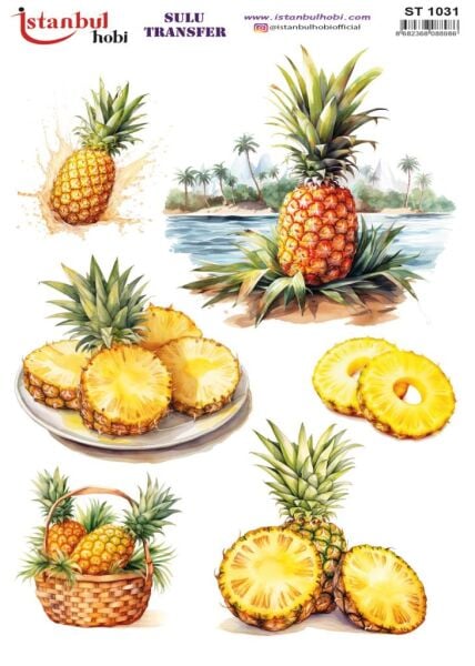 Sulu Transfer Kağıdı 25x35cm ST-1031