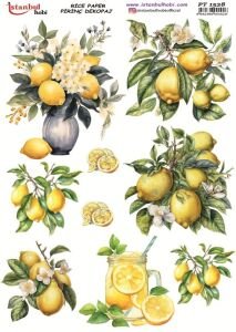 Pirinç Dekopaj Kağıdı 30x42cm PT-1528