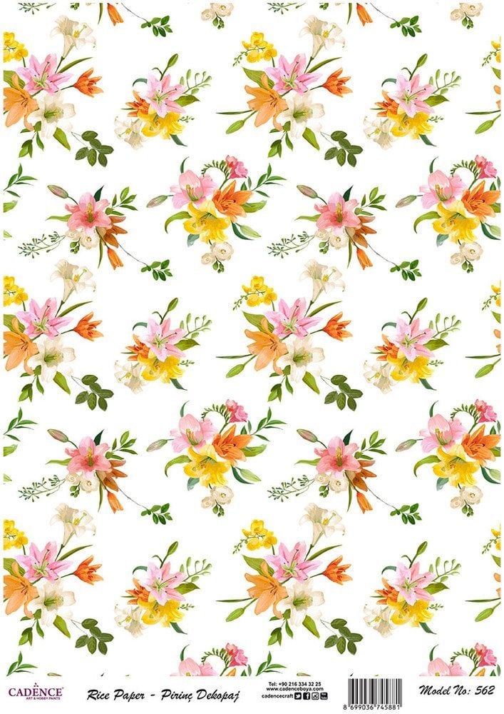 Model 562 - Pirinç Dekopaj Cadencecraft