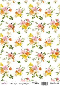 Model 562 - Pirinç Dekopaj Cadencecraft