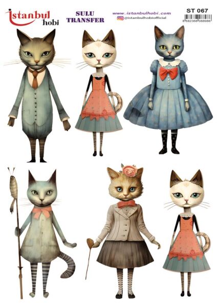 Sulu Transfer Kağıdı 25x35cm ST-067