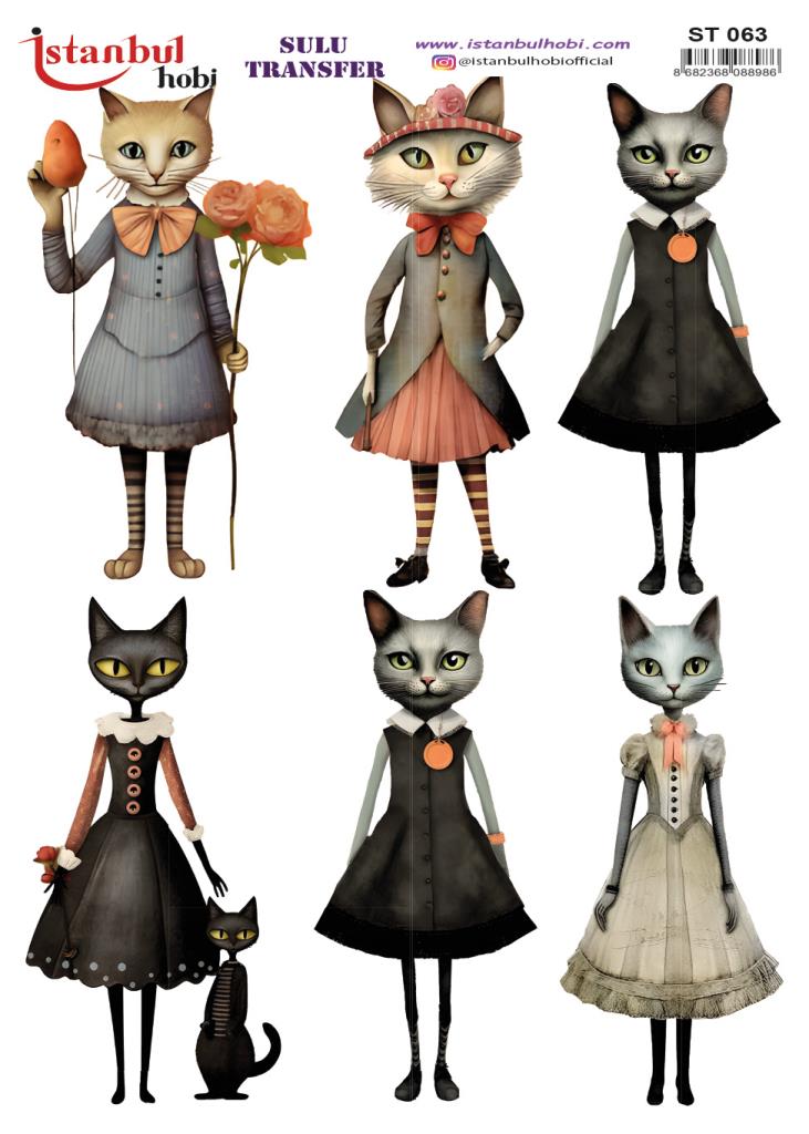 Sulu Transfer Kağıdı 25x35cm ST-063