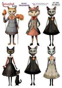 Sulu Transfer Kağıdı 25x35cm ST-063