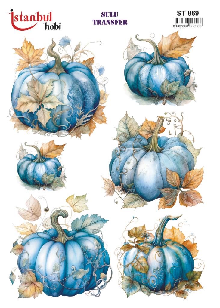 Sulu Transfer Kağıdı 25x35cm ST-869