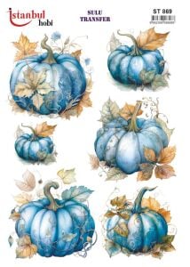 Sulu Transfer Kağıdı 25x35cm ST-869