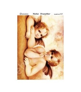 Model 117 - Tela Transfer