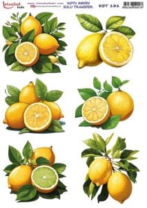 Koyu Zemin Sulu Transfer Kağıdı 25x35cm KST-131 Limon