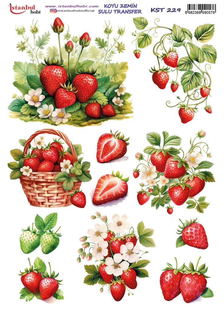 Koyu Zemin Sulu Transfer Kağıdı 25x35cm KST-229