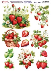 Koyu Zemin Sulu Transfer Kağıdı 25x35cm KST-229