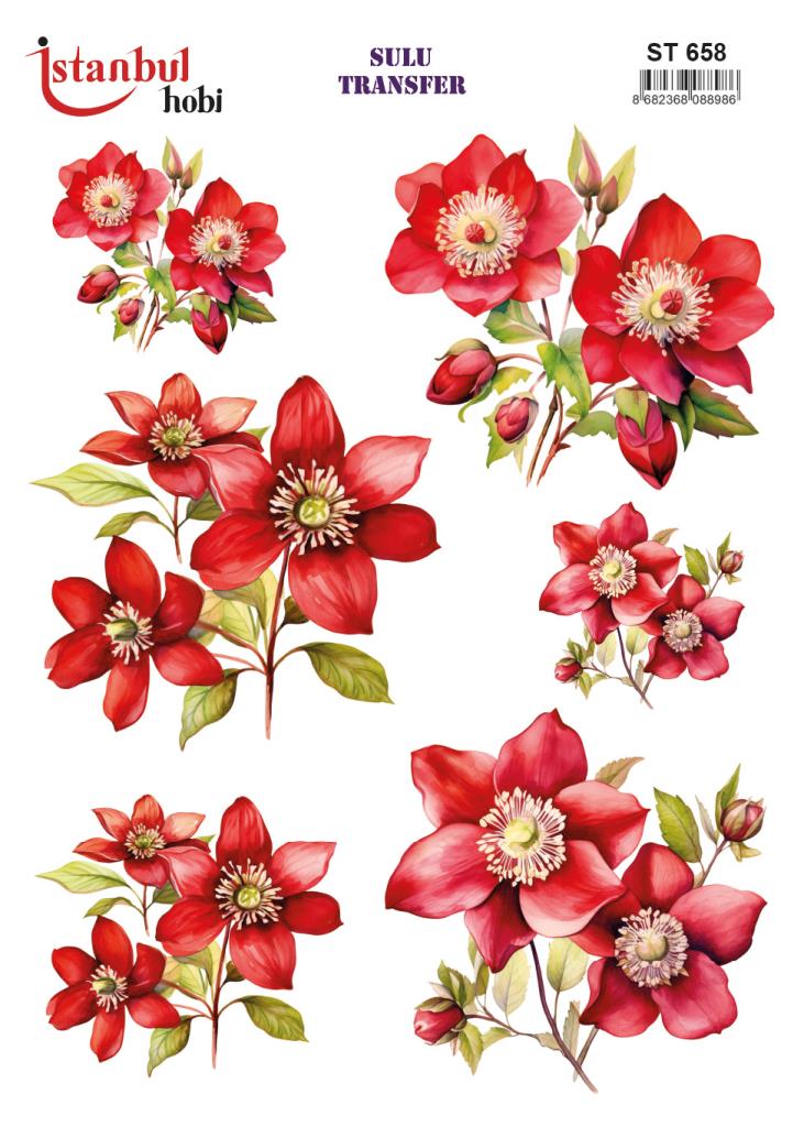 Sulu Transfer Kağıdı 25x35cm ST-658