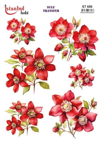 Sulu Transfer Kağıdı 25x35cm ST-658