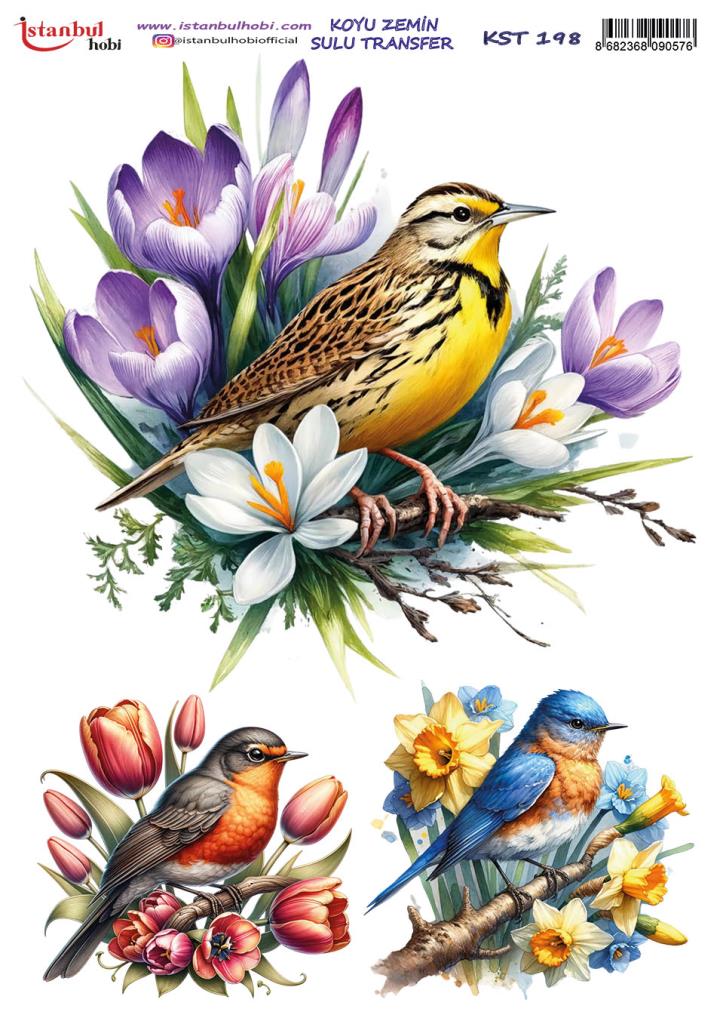 Koyu Zemin Sulu Transfer Kağıdı 25x35cm KST-198