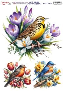 Koyu Zemin Sulu Transfer Kağıdı 25x35cm KST-198